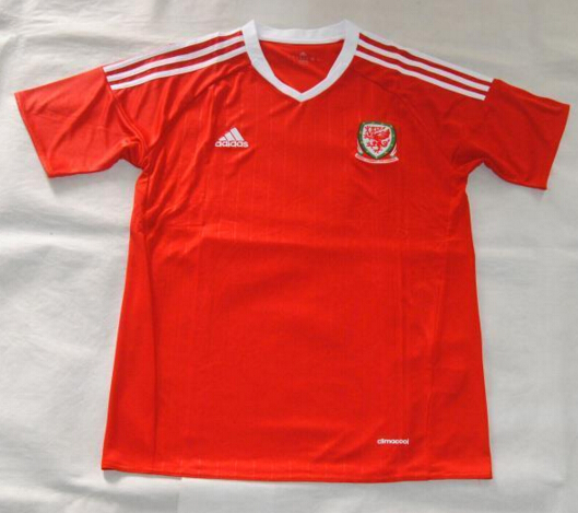 Wales Euro 2016 Home Soccer Jersey